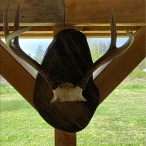 Handmade Deer/Elk Plaque